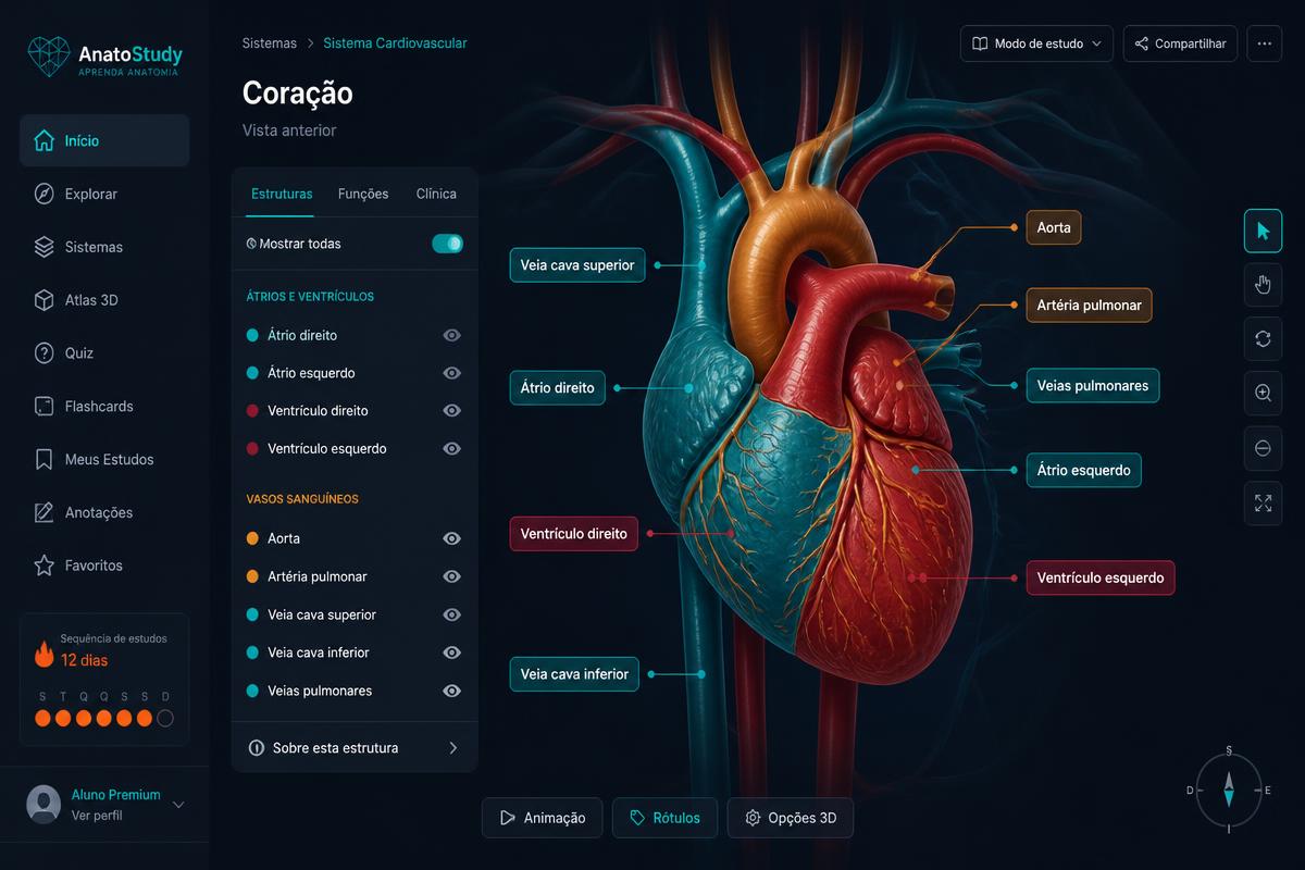 Prévia da tela do módulo Sistema Cardiovascular
