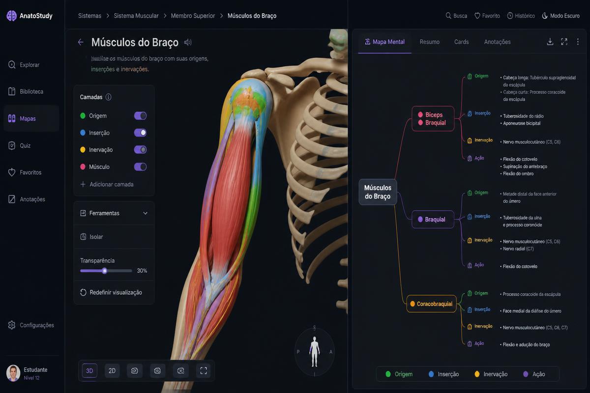 Prévia da tela do módulo Sistema Musculoesquelético