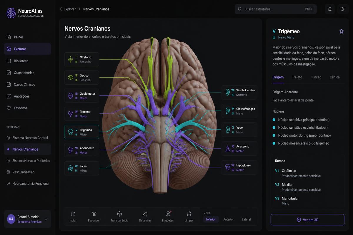 Prévia da tela do módulo Neuroanatomia