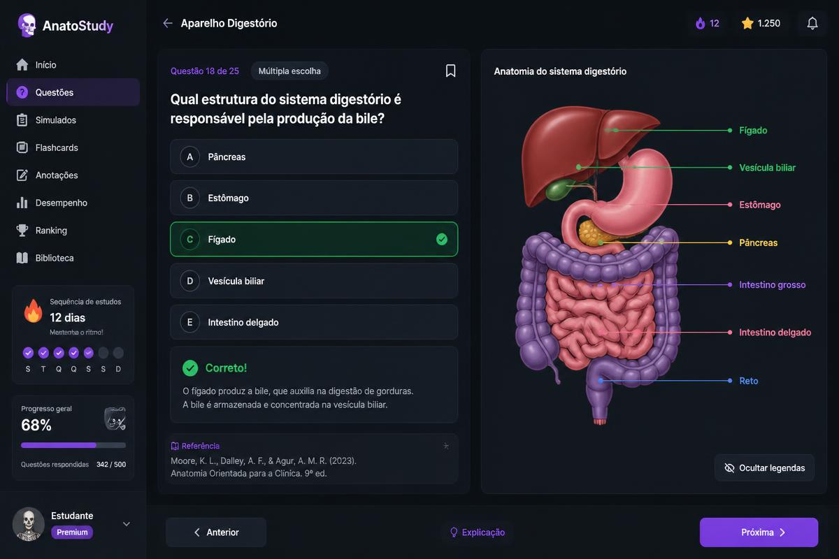Prévia da tela do módulo Sistema Digestório